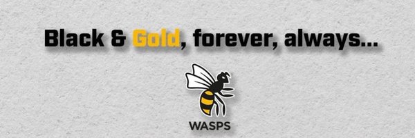 LeamWasp Profile Banner