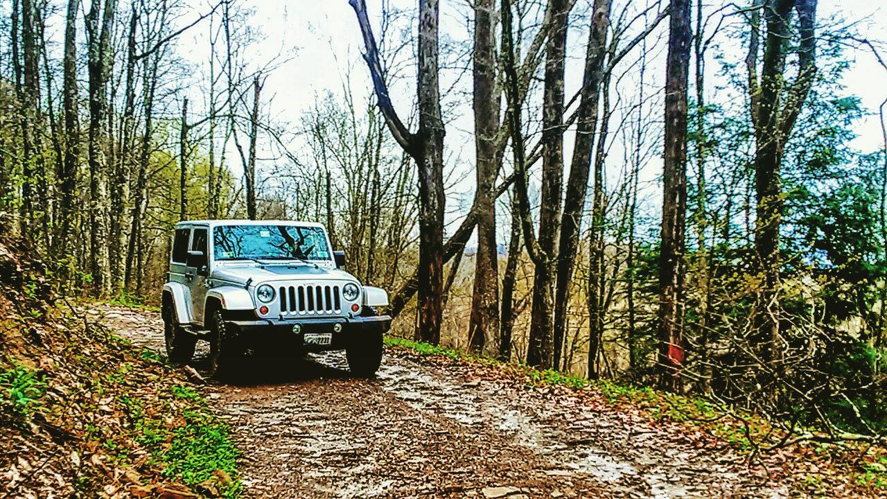 Ryan'sCarroll banner