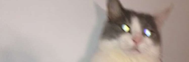 ffrraannces's profile banner image