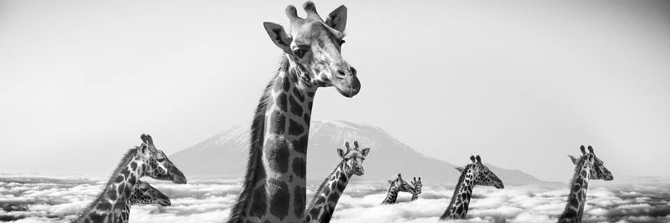 DanielRVB's profile banner image
