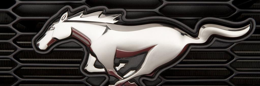 KranerRobert's profile banner image