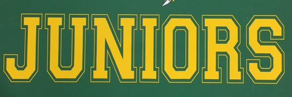 SVHS2017's profile banner image