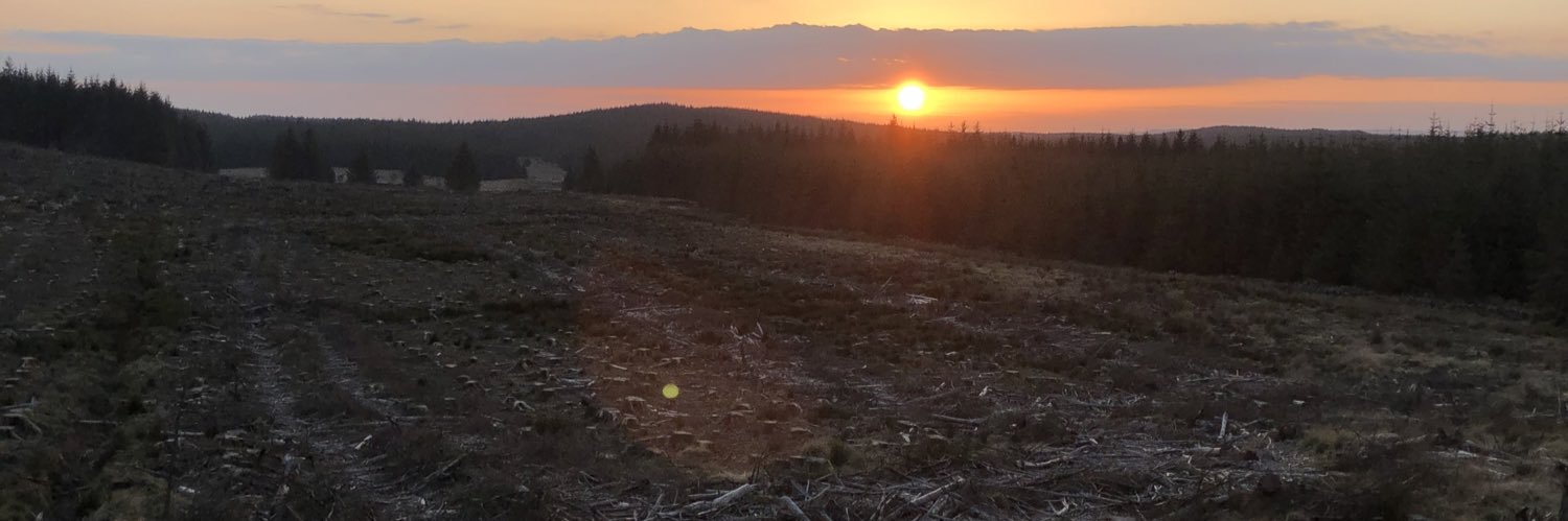 RozLaws1's profile banner image