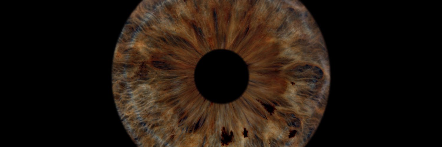 BernardBearth's profile banner image