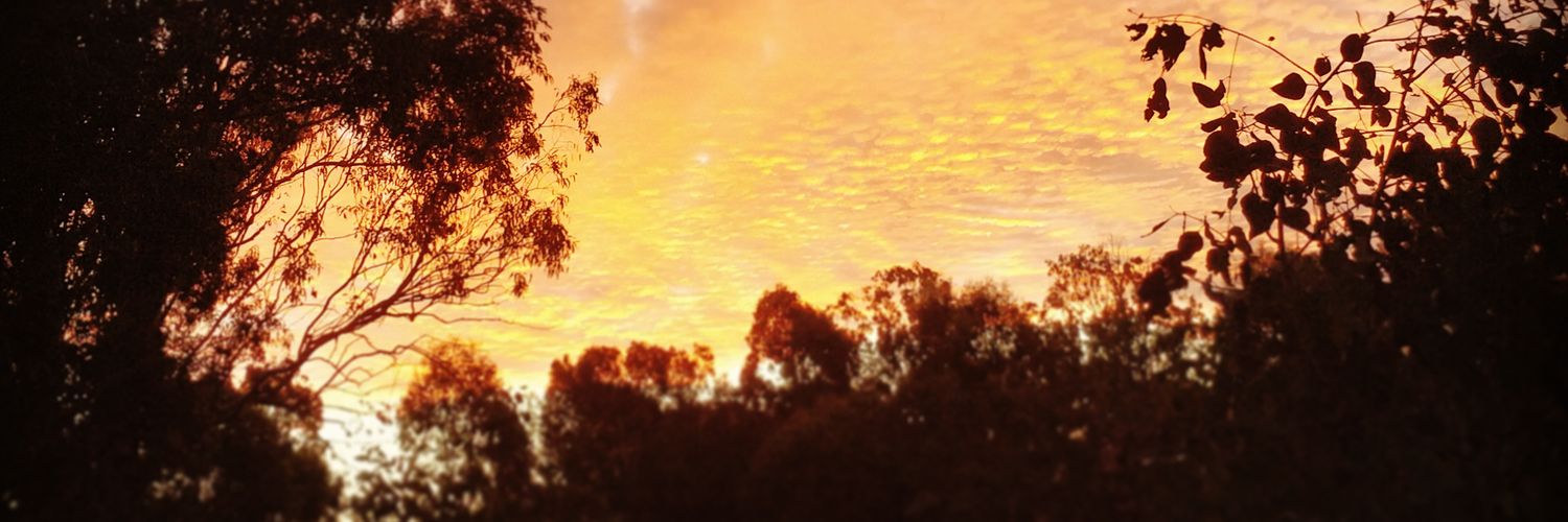 Nibzspeaks's profile banner image