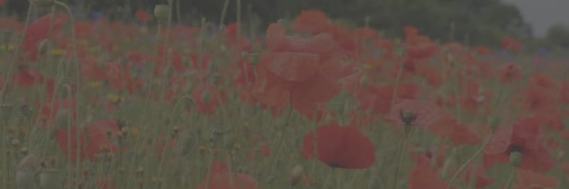 LegionScotland's profile banner image