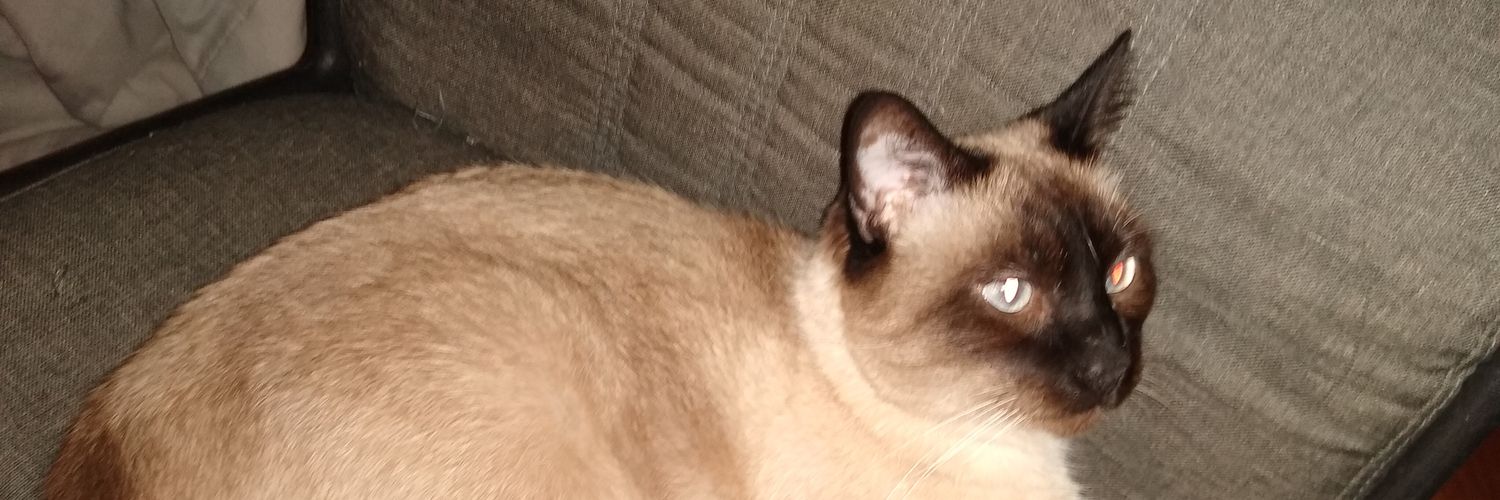 Sebastian240876's profile banner image