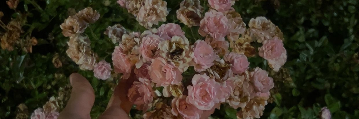 mala_pt's profile banner image