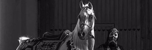 fovy93's profile banner image