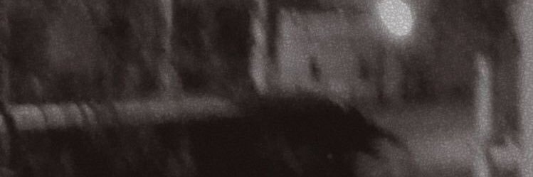 theycallmererew's profile banner image