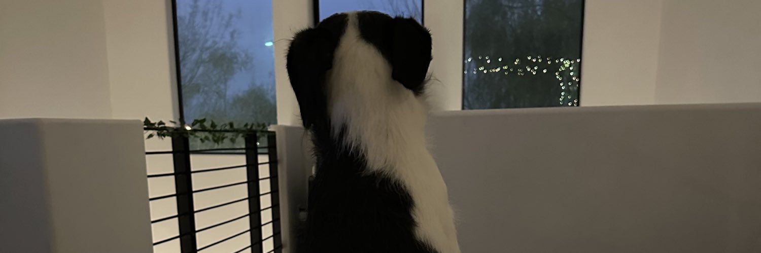 Alejandra935's profile banner image