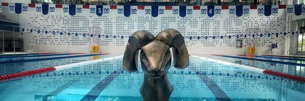 SwimMario's profile banner image