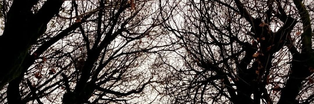 Dies Irae Dies Illa banner