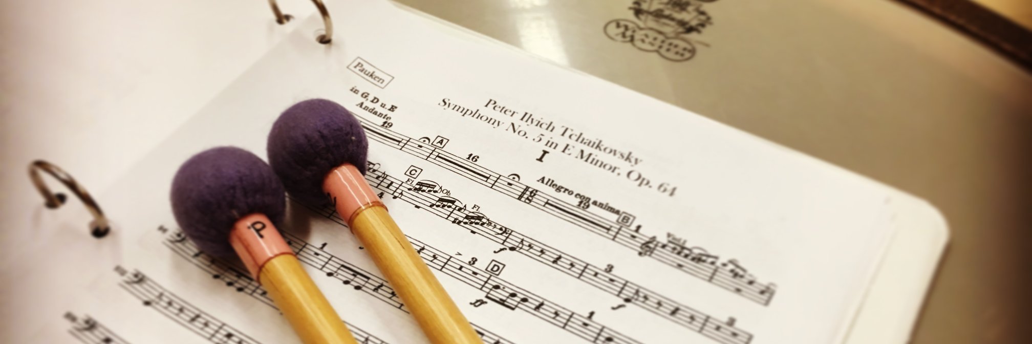 Kayoko Shioda, PhD, DVM, MPH banner