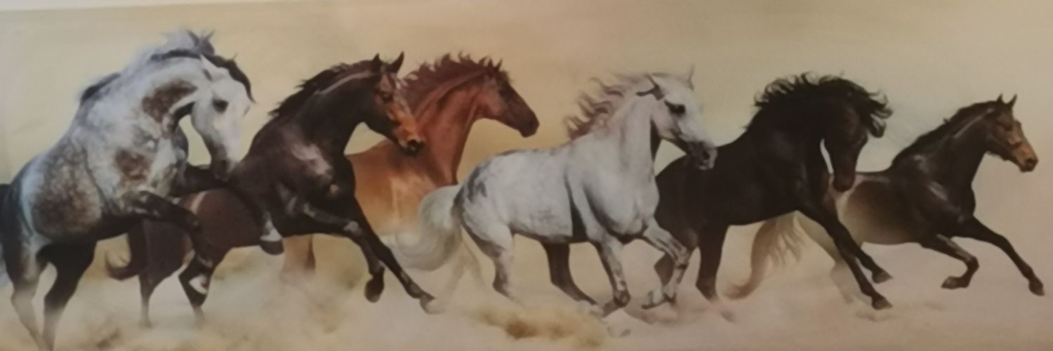 mavyam12's profile banner image