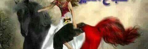 armiaromany1's profile banner image