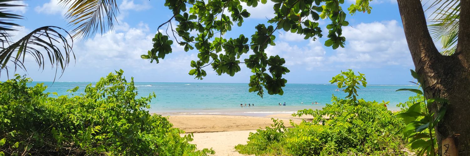 Sonia Gonzalez-Martinez banner