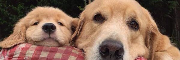 abbyjoew's profile banner image