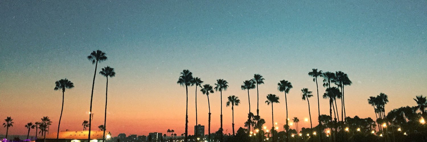 sunflowerstephh's profile banner image