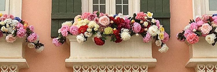 daniahmk's profile banner image