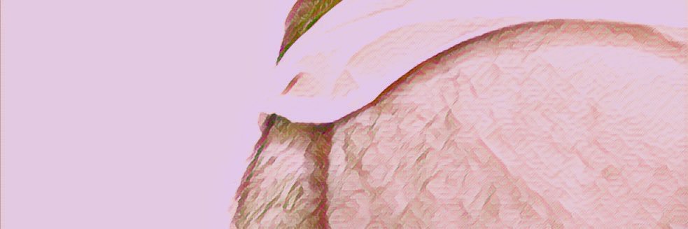 Da_Garebear's profile banner image