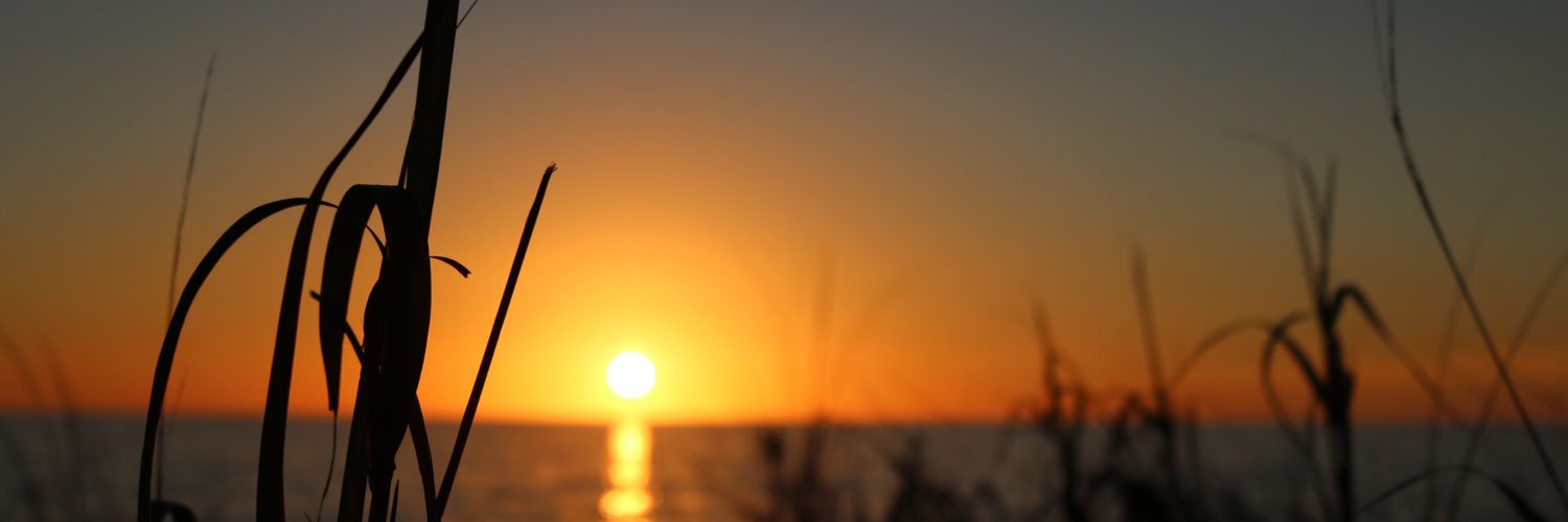 BrennaSteffanni's profile banner image