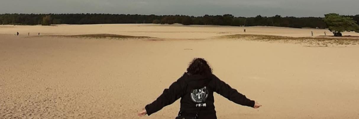 Sarah banner
