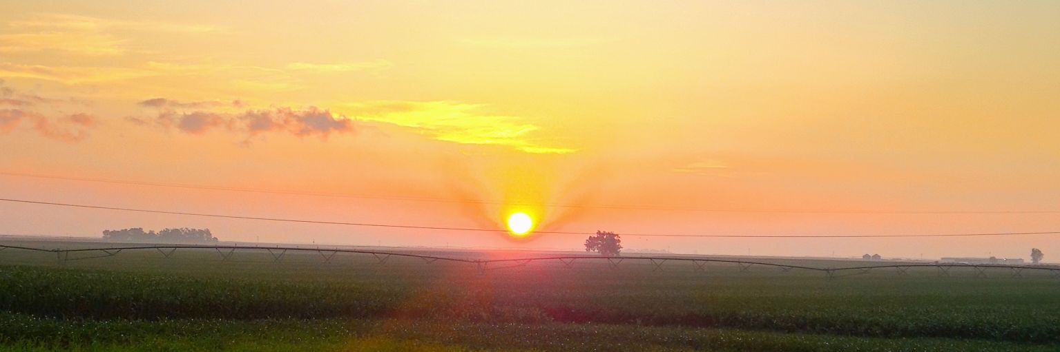 DanGDaMan's profile banner image