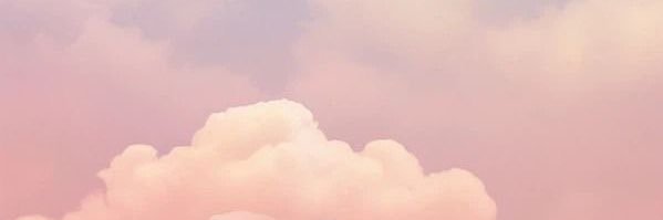 bypriz's profile banner image