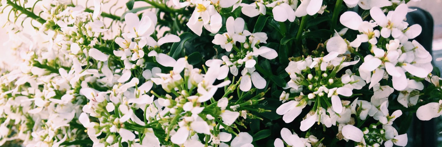 kennyy_d's profile banner image
