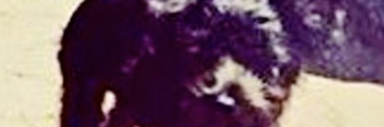 AldrinRea's profile banner image
