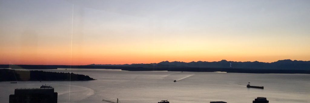 msfitak's profile banner image