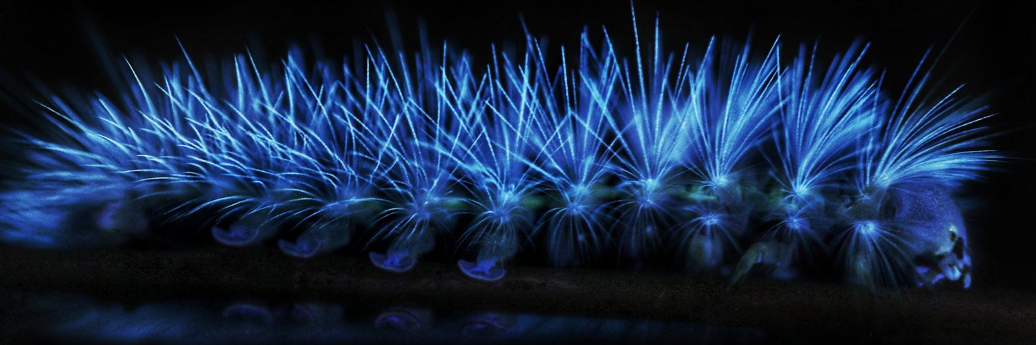 Burbank Galaxy! banner