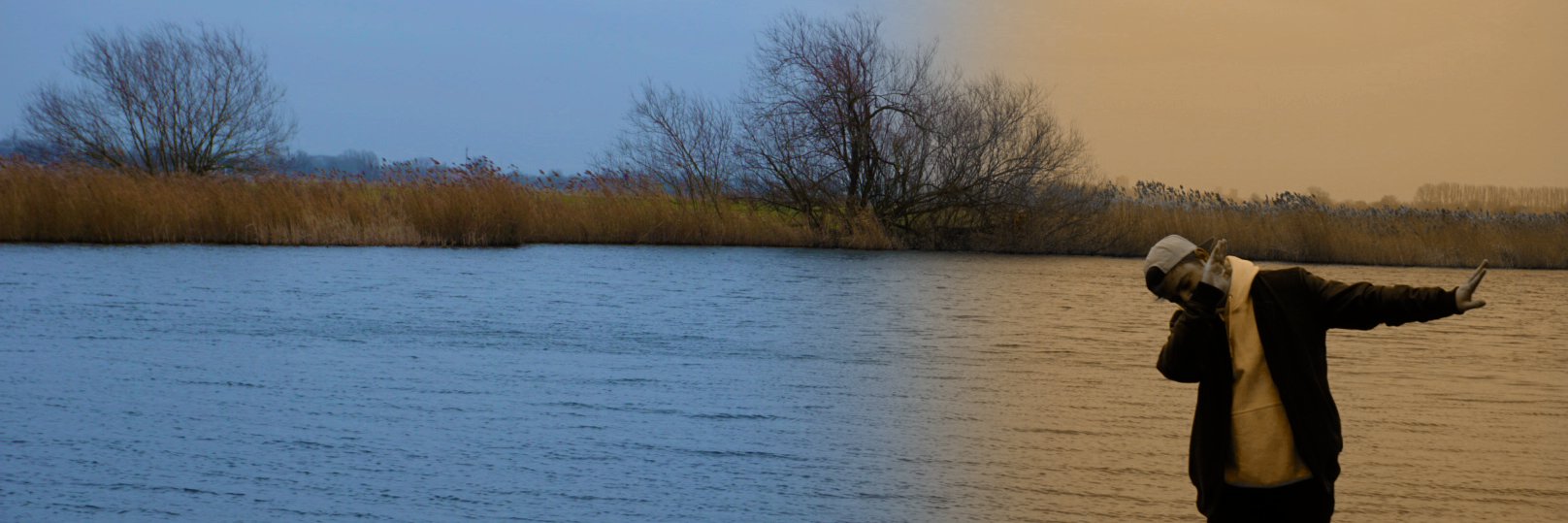 Gelicenceerd Provocerend Zaniker banner