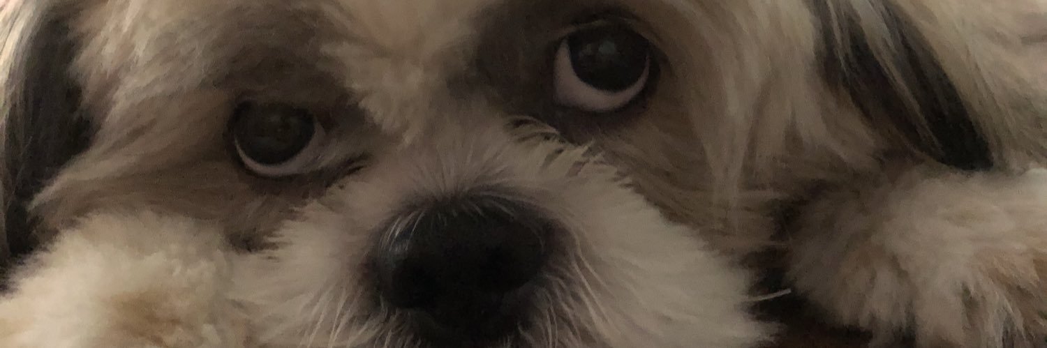 Mikopunch's profile banner image