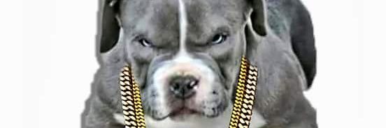 BlueBeastEnt's profile banner image