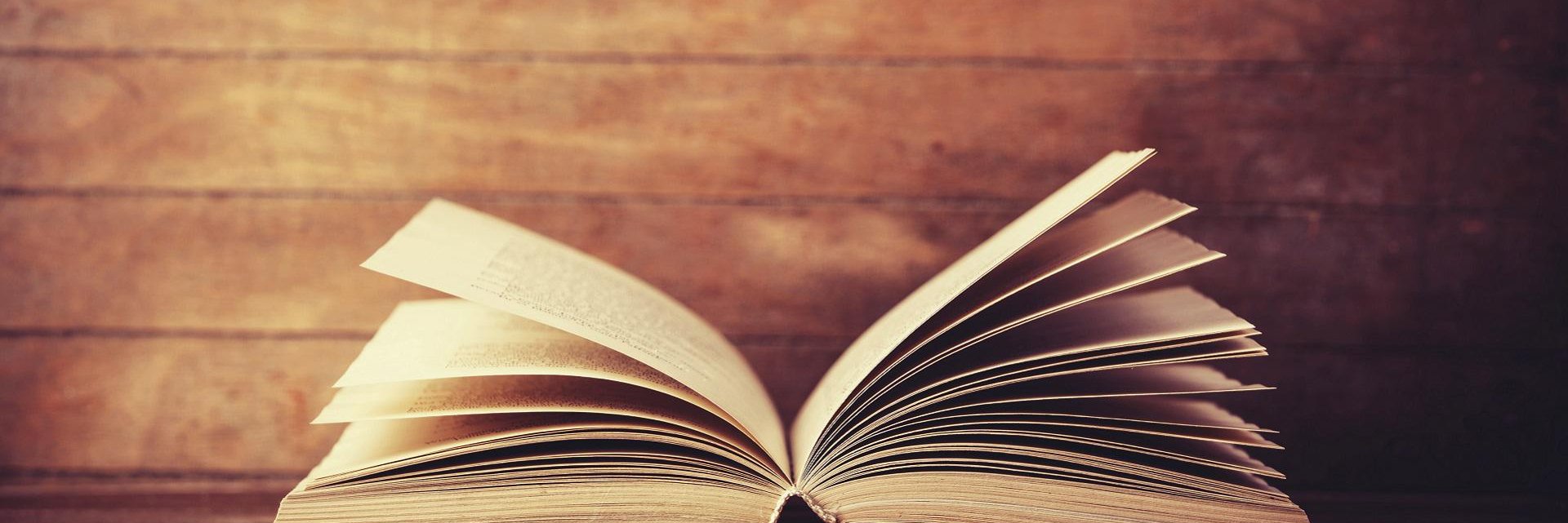 Stephanie Barrientos banner