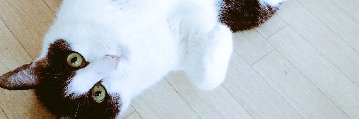 Reminy official banner