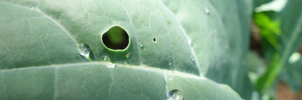 LisaMimoun's profile banner image