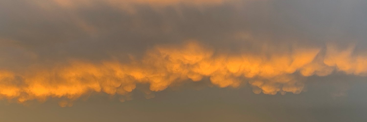 Eric de Koning banner