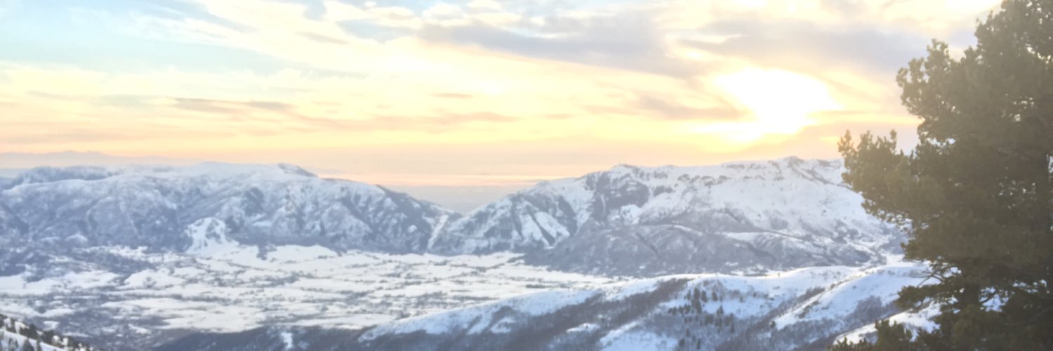 katytig's profile banner image