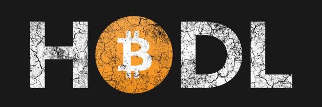 Crypto_Rise0612's profile banner image