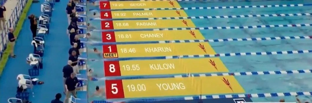 Devils In Detail banner