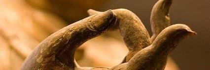 focanimale 🏳️‍🌈 banner