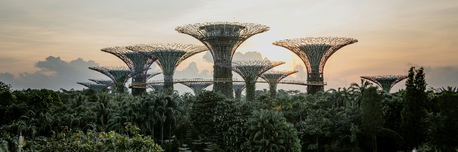 Abhay 🇸🇬🇮🇳 banner