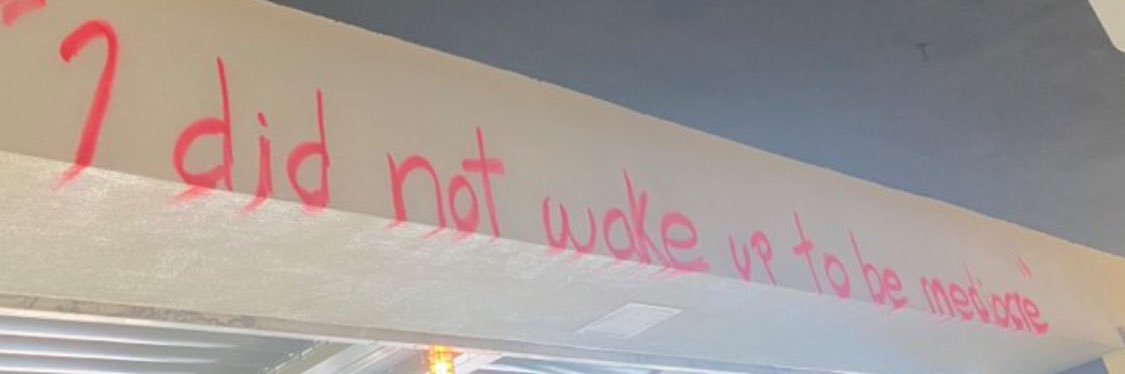 Matthew Laseter 🥋 banner