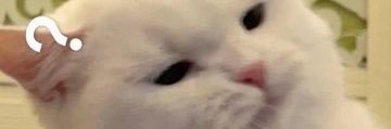 erufang's profile banner image