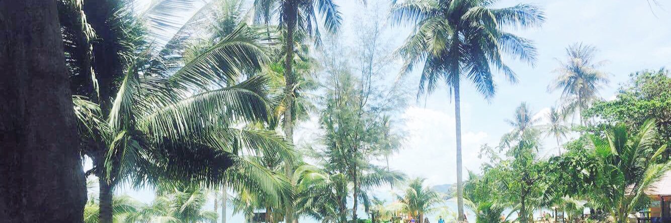 LucyTully_'s profile banner image