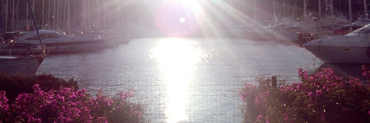 Zeyneppkaa's profile banner image