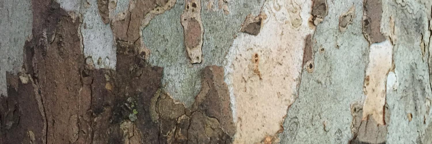 coryjames's profile banner image